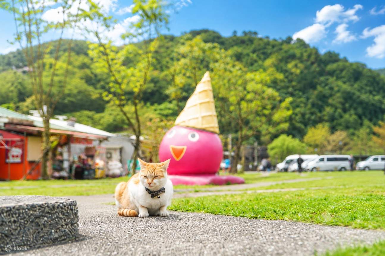 [Meow Butler Annyang] Taiwan Taipei Yehliu Shifen Jiufen Bus Tour ...